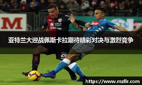 贝博bb艾弗森平台